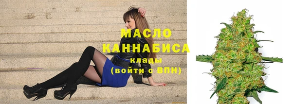 гидра Михайловка