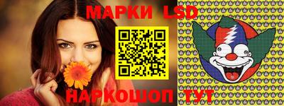 индика Беслан