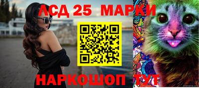 индика Беслан
