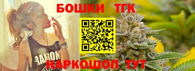 индика Беслан