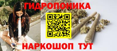 индика Беслан