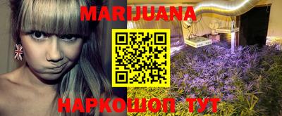 индика Беслан