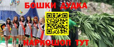 индика Беслан