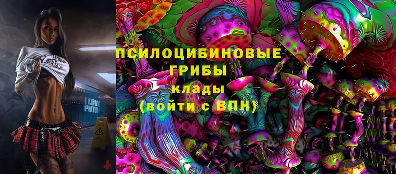 где купить   Калуга  KRAKEN tor  Псилоцибиновые грибы Psilocybine cubensis 