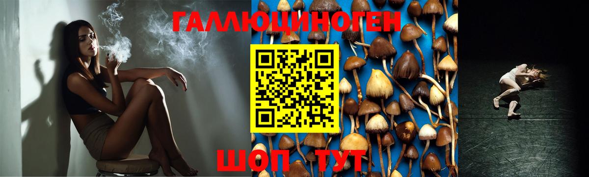 цена   Вход с VPN  Калуга  Галлюциногенные грибы Magic Shrooms 